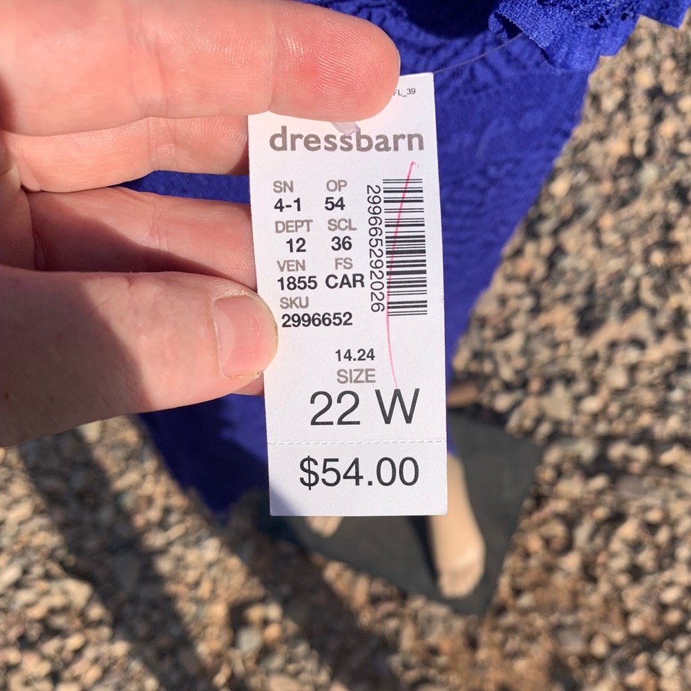 Dress Barn Dress NWT